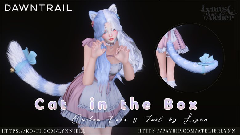 Cat in the Box [2.0]