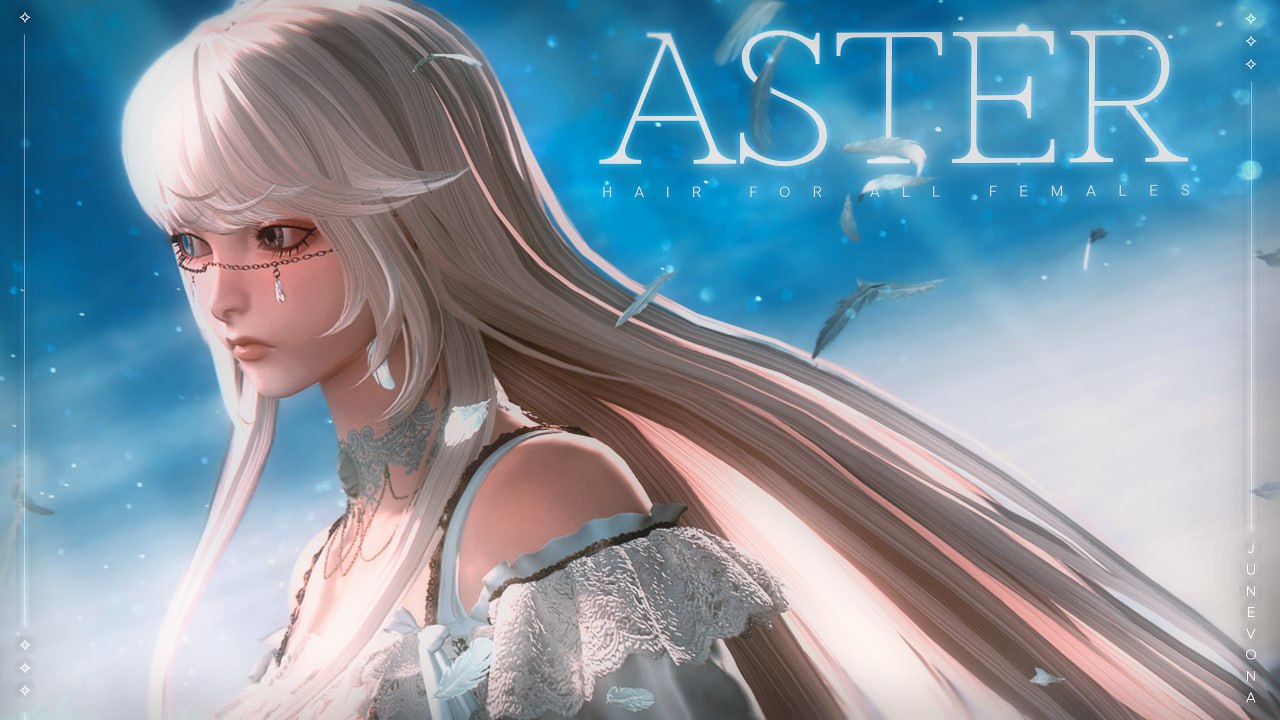 Aster