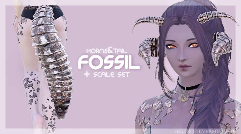 Fossil Set