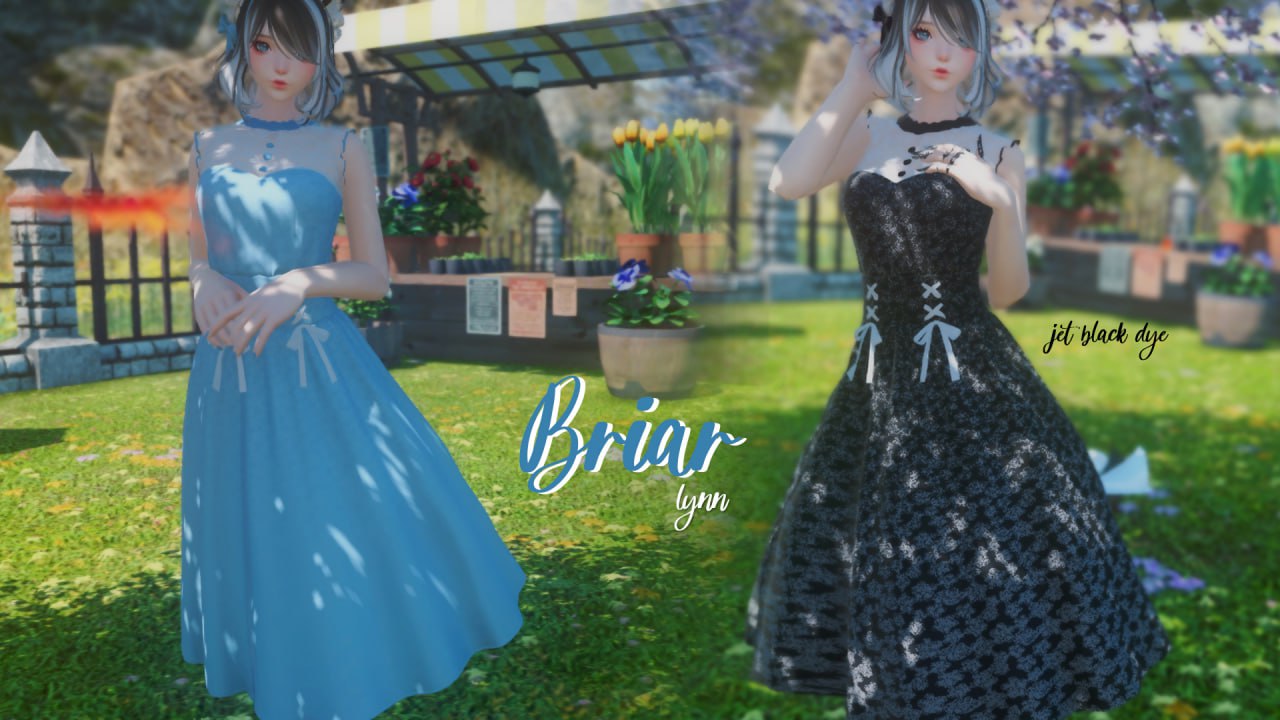 Briar
