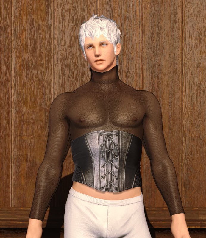 Corset 2 - Sheer Victorian