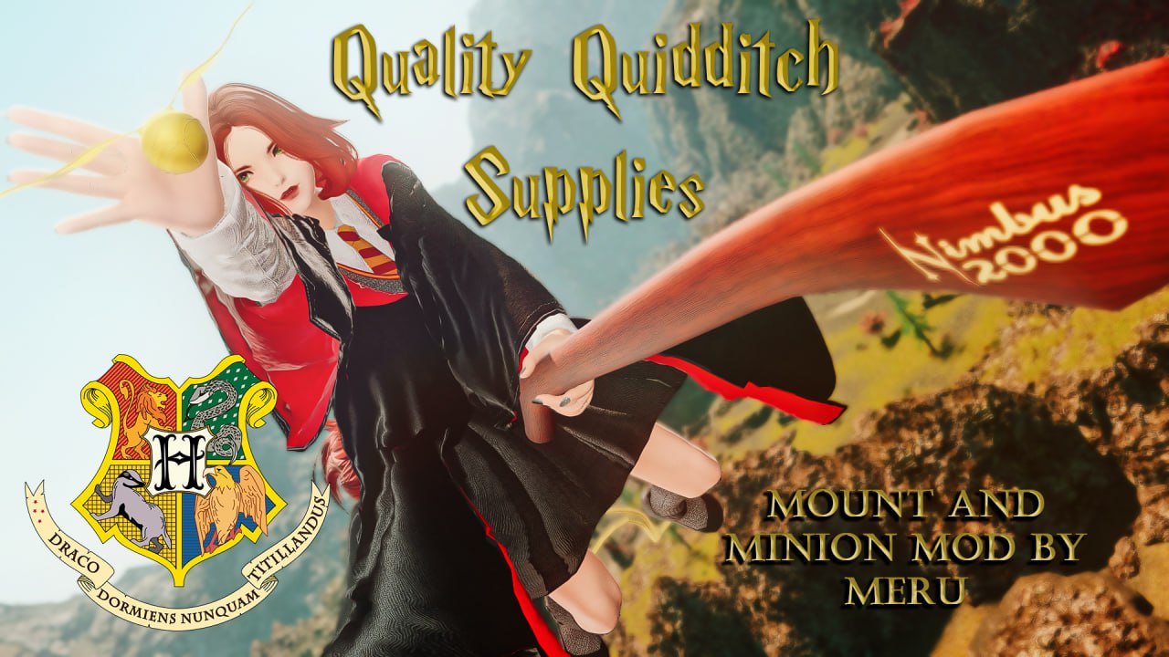 Quality Quidditch Supplies