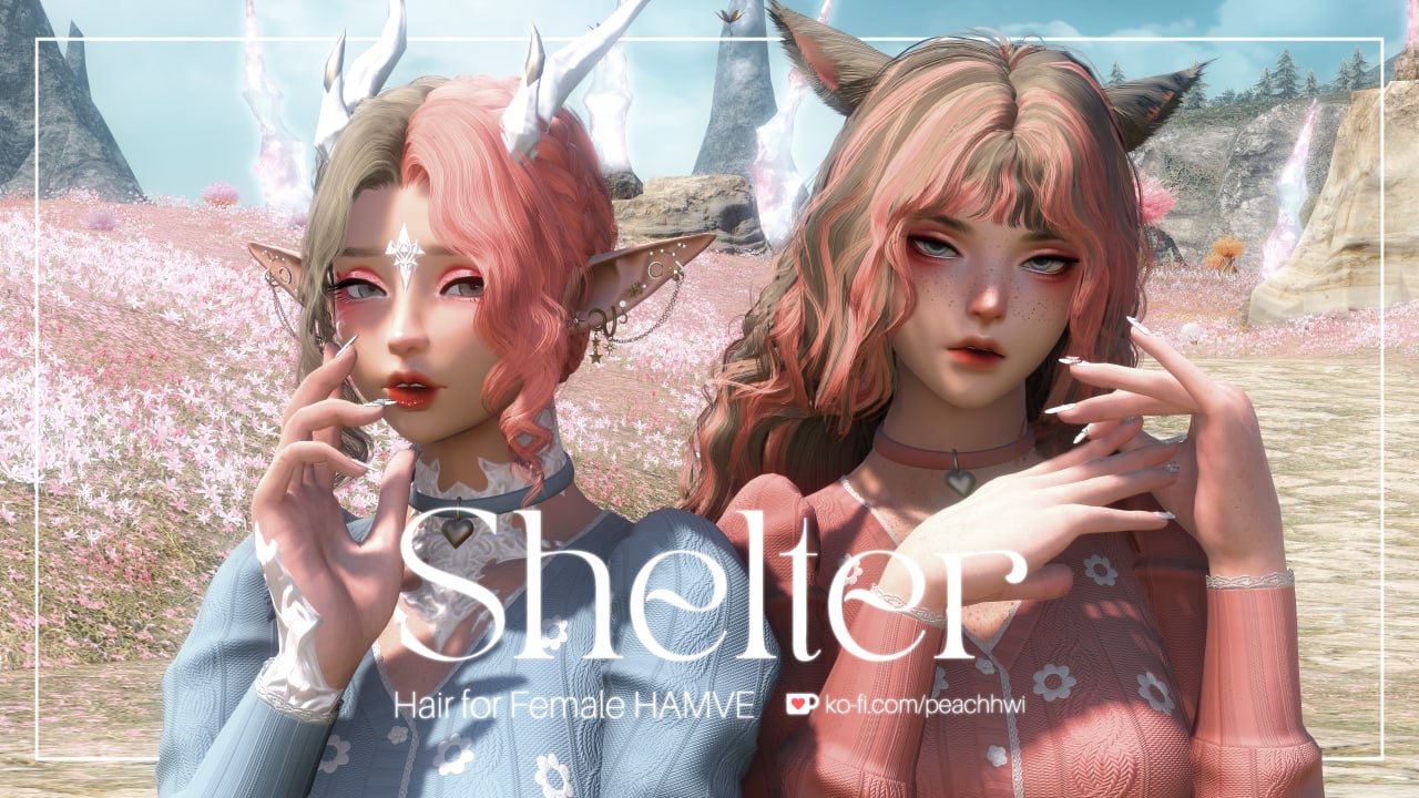 Shelter