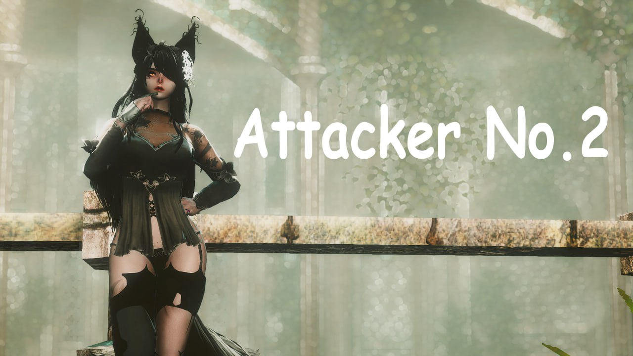 Attacker No.2