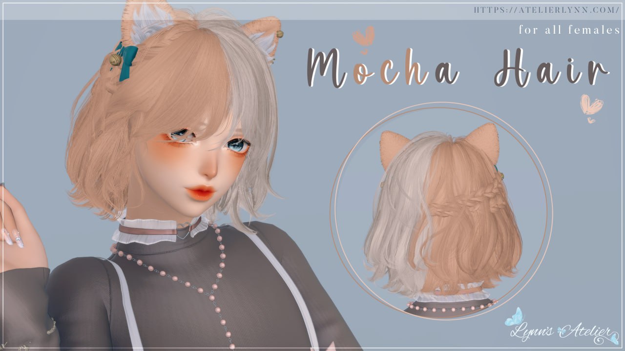 Mocha [1.1]